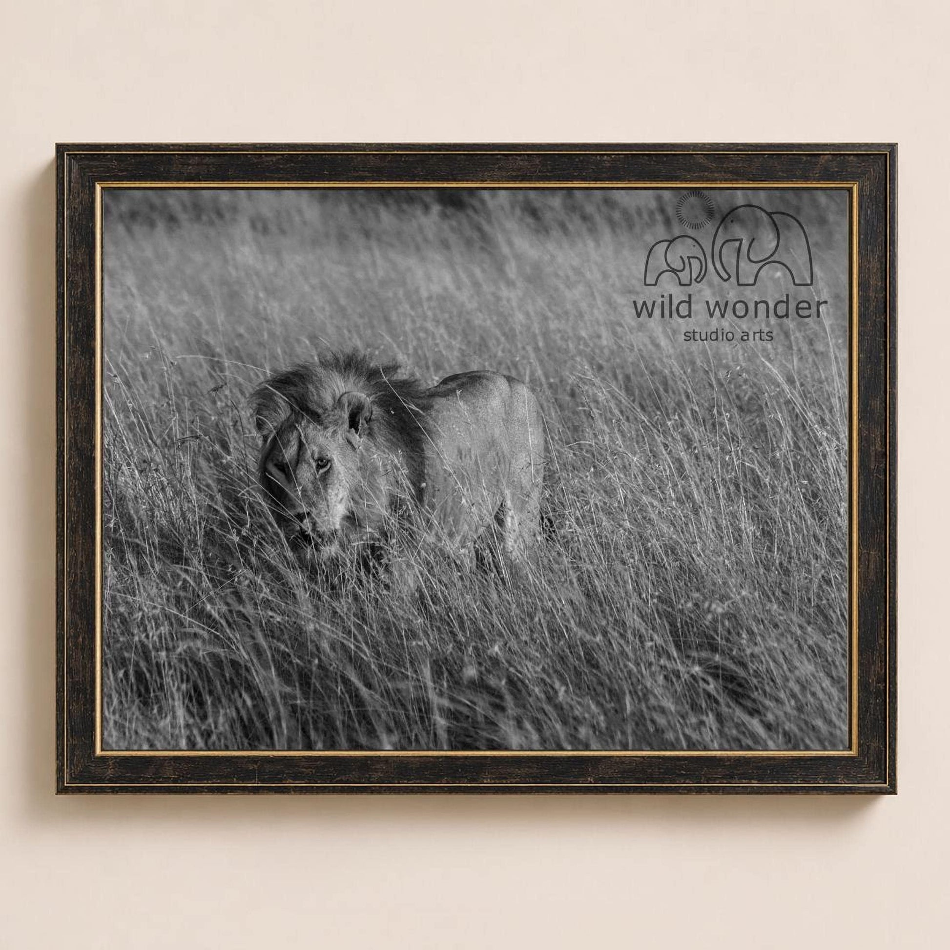 A black and white photograph of a lion standing in tall grass, with the text "wild wonder studio arts" visible in the frame.