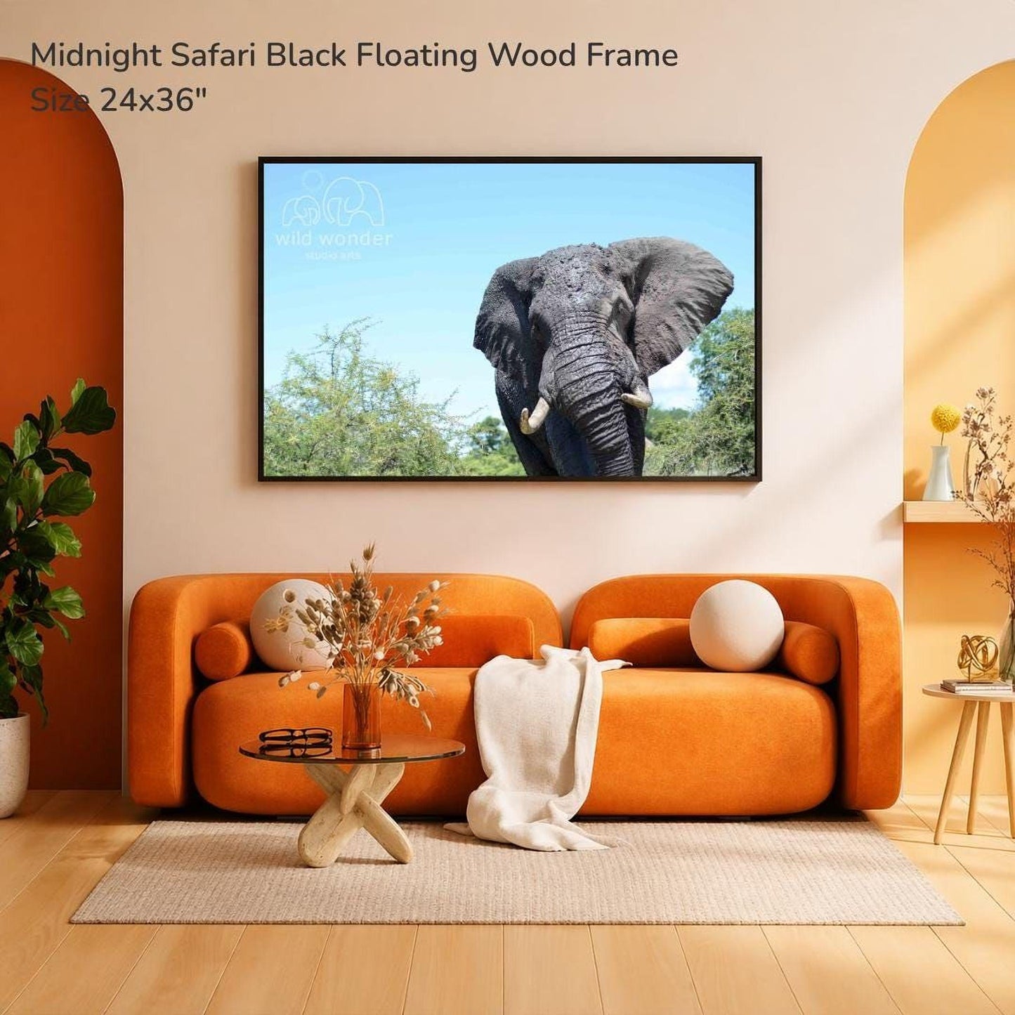 a large, black floating wood frame hanging on a wall, displaying a photograph of an elephant. The frame is described as a "Midnight Safari Black Floating Wood Frame" and has a size of 24x36 inches. The room has an orange couch, a glass coffee table, and a potted plant, creating a cozy and inviting atmosphere.