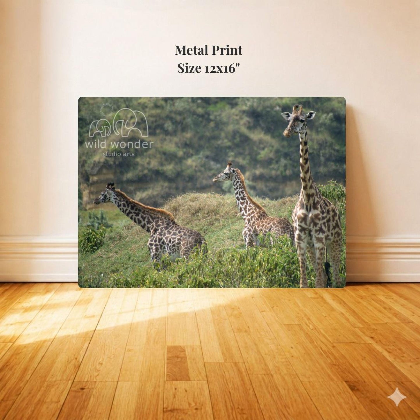 Metal Print: Size 12x16"