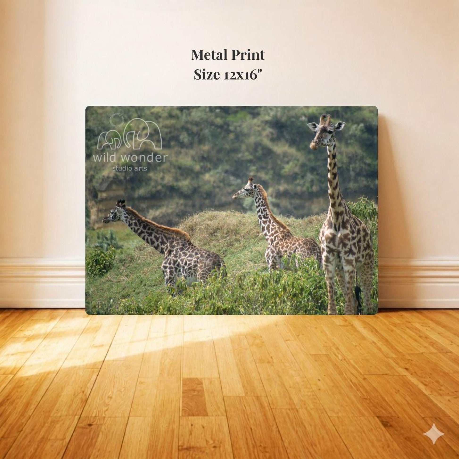 Metal Print: Size 12x16"
